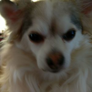 Meet your Posher, Richard